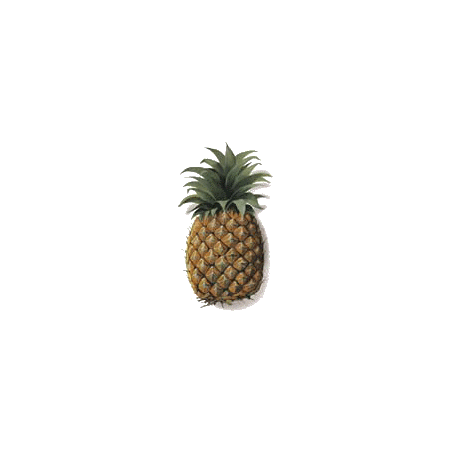 Ananas tige en gélules Pullulan, minceur et régime
