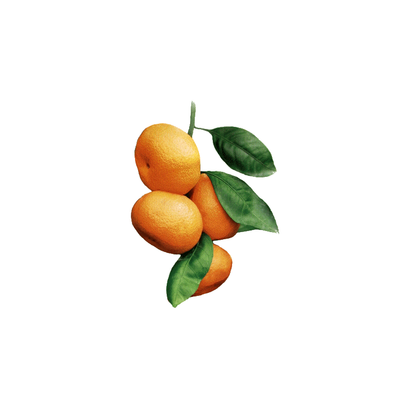 Huile essentielle Mandarine Verte bio (Citrus reticulata Blanco)