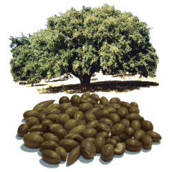Huile végétale Argan Maroc Vierge Bio - ABC de la Nature : cosmétique bio