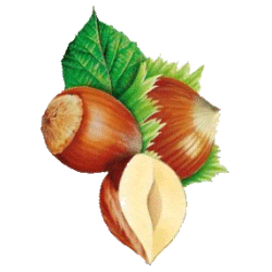 Huile végétale Vierge de Noisette Bio*