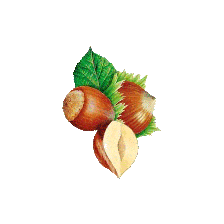 Huile végétale Vierge de Noisette Bio*