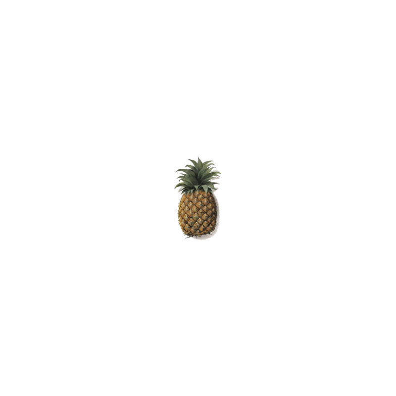 Bromélaine en gélules anti-inflammatoire naturel (Ananas comosus)
