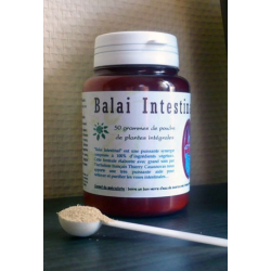 Balai Intestinal mélange en poudre Régénération