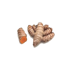 Huile essentielle de Curcuma Bio (Curcuma longa)